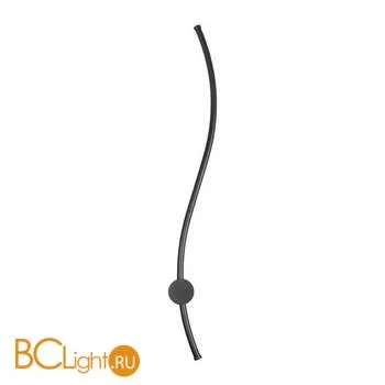 Настенный светильник LOFT IT Rays 10152 BK