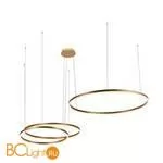 Подвесной светильник LOFT IT Ring 10017/3M