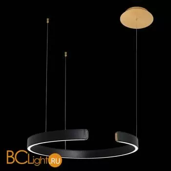Подвесной светильник LOFT IT Ring 10025/600 Black - Фото 0