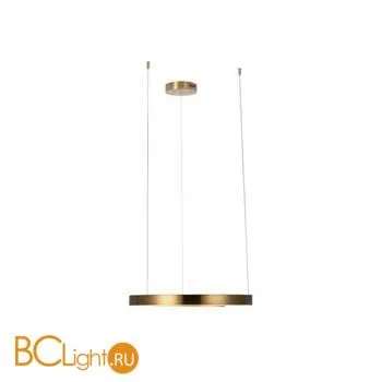 Подвесной светильник LOFT IT Ring 10013M - Фото 1