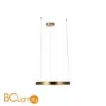 Подвесной светильник LOFT IT Ring 10013M - Фото 1