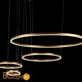 Подвесной светильник LOFT IT Ring 10017/4L - Фото 2