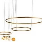 Подвесной светильник LOFT IT Ring 10017/4L - Фото 1