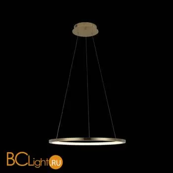 Подвесной светильник LOFT IT Ring 10014M - Фото 2