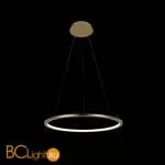 Подвесной светильник LOFT IT Ring 10014M - Фото 0