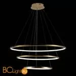 Подвесной светильник LOFT IT Ring 10015/3 - Фото 0