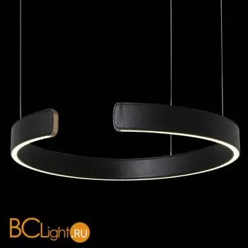 Подвесной светильник LOFT IT Ring 10025/400 Black - Фото 2