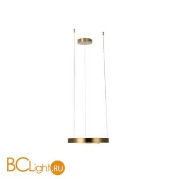 Подвесной светильник LOFT IT Ring 10013S - Фото 1