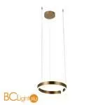 Подвесной светильник LOFT IT Ring 10013S