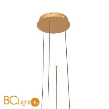 Подвесной светильник LOFT IT Ring 10017/3L - Фото 3