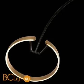 Торшер LOFT IT Ring 10027 - Фото 2