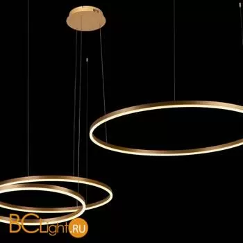 Подвесной светильник LOFT IT Ring 10017/3S - Фото 2