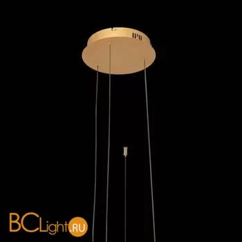 Подвесной светильник LOFT IT Ring 10017/3S - Фото 4