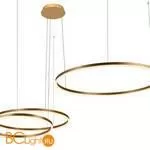 Подвесной светильник LOFT IT Ring 10017/3S - Фото 1