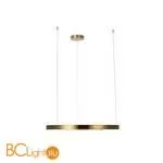 Подвесной светильник LOFT IT Ring 10013L - Фото 1