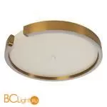 Потолочный светильник LOFT IT Ring 10026