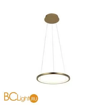 Подвесной светильник LOFT IT Ring 10014S
