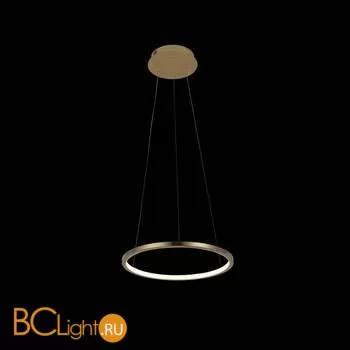 Подвесной светильник LOFT IT Ring 10014S - Фото 0