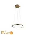 Подвесной светильник LOFT IT Ring 10014S