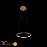 Подвесной светильник LOFT IT Ring 10014S - Фото 0