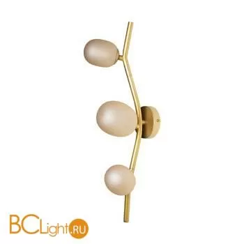 Настенный светильник LOFT IT sakura 10212W Gold