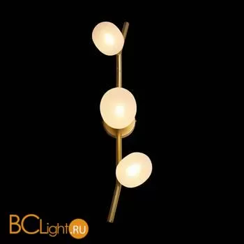 Настенный светильник LOFT IT sakura 10212W Gold - Фото 2