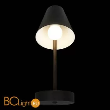 Настенный светильник LOFT IT shelf 10216/1W Black - Фото 0