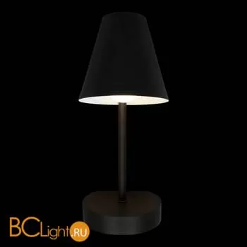 Настенный светильник LOFT IT shelf 10216/1W Black - Фото 2