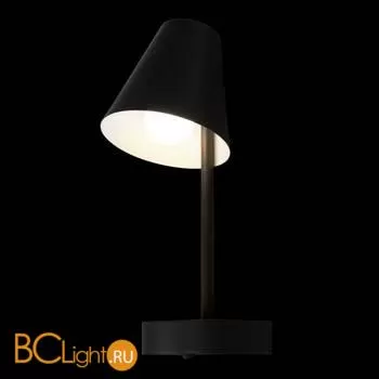 Настенный светильник LOFT IT shelf 10216/1W Black - Фото 4