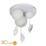Подвесной светильник LOFT IT Teddy 10030