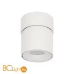 10180 White Накладной светильник LOFT IT Tictac - Фото 2