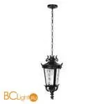 Уличный подвесной светильник LOFT IT verona 100003P