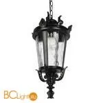 Уличный подвесной светильник LOFT IT verona 100003P - Фото 1