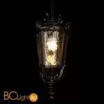 Уличный подвесной светильник LOFT IT verona 100003P - Фото 2