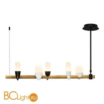 Подвесной светильник LOFT IT Whisper 1028-5BL