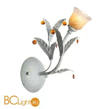 Бра Luce Solara 5009/1A