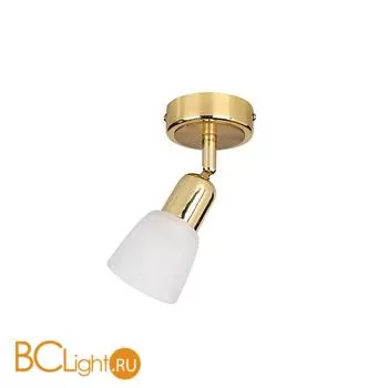 Cпот (точечный светильник) Luce Solara 5039/1PA Matt gold