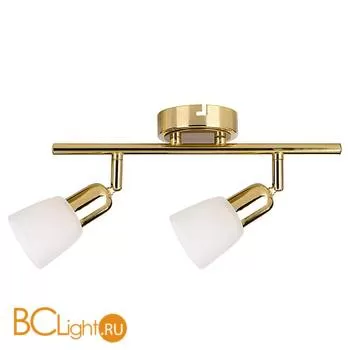 Cпот (точечный светильник) Luce Solara 5039/2PA Matt gold