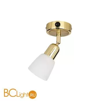 Cпот (точечный светильник) Luce Solara 5040/1PA