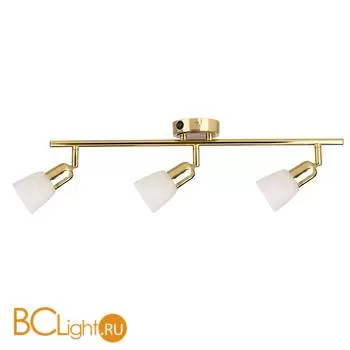 Cпот (точечный светильник) Luce Solara 5040/3PA