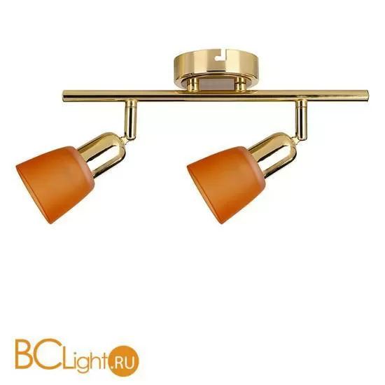 Cпот (точечный светильник) Luce Solara 5046/2PA Gold/orange