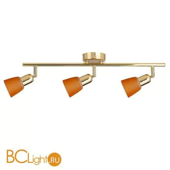 Cпот (точечный светильник) Luce Solara 5046/3PA Gold/orange
