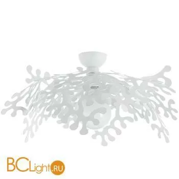 Потолочный светильник Luce Solara 8007/1PL WHITE