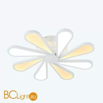 Потолочный светильник Lucia Tucci Miracoli 201.8 LED