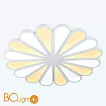 Потолочный светильник Lucia Tucci Miracoli 203.20 LED