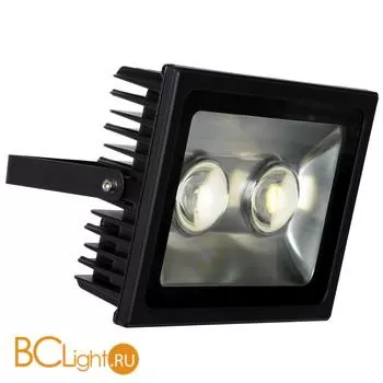 Садово-парковый фонарь Lucide Flood 14806/80/30