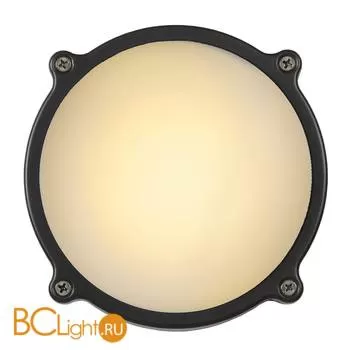 Уличный потолочный светильник Lucide Hublot 14810/14/36