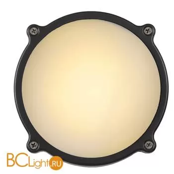 Уличный потолочный светильник Lucide Hublot 14810/06/36