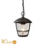 Уличный подвесной светильник Lucide Istro 29820/01/30
