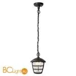 Уличный подвесной светильник Lucide Istro 29804/01/30 - Фото 0